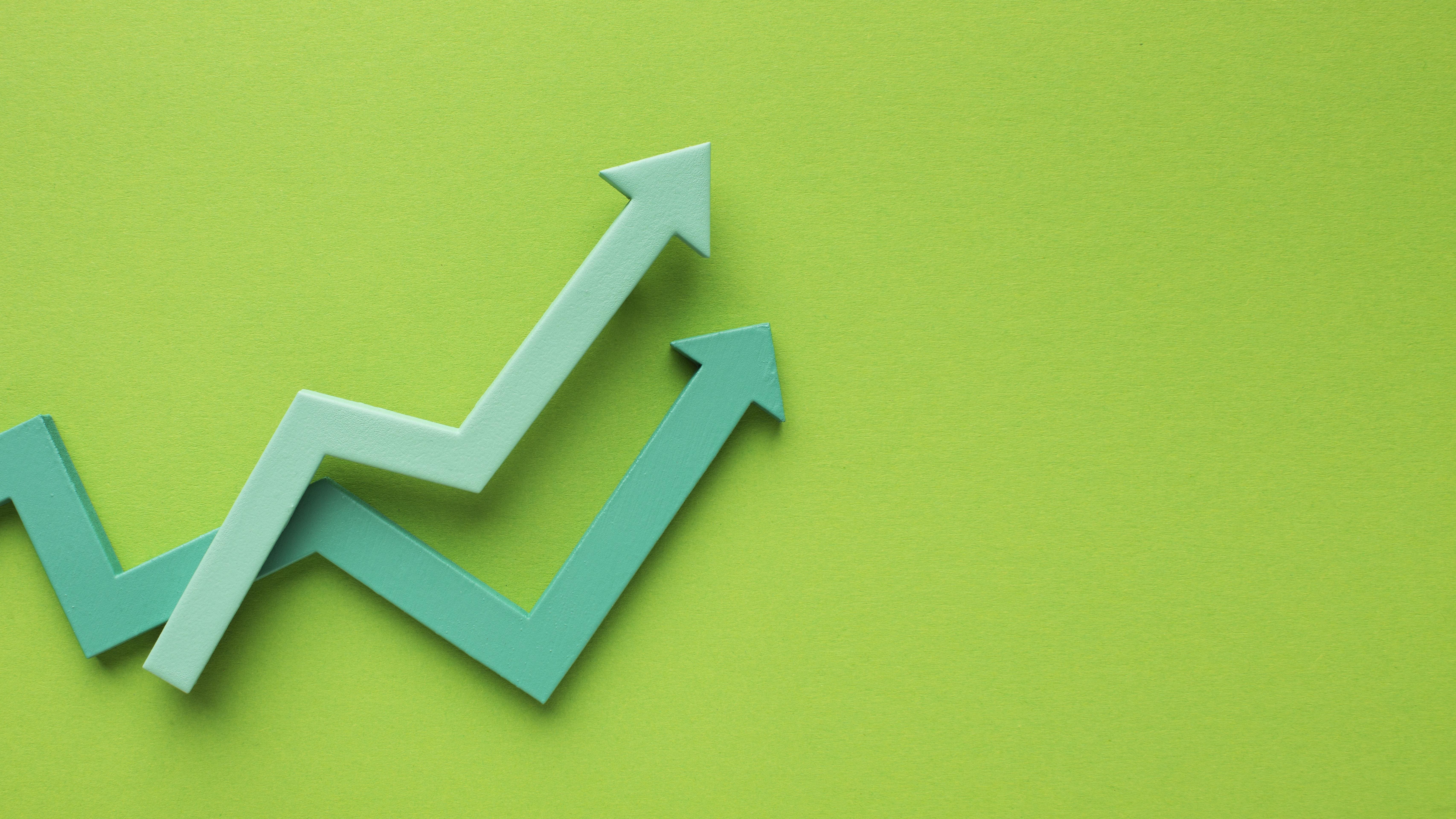 What is organic growth business?