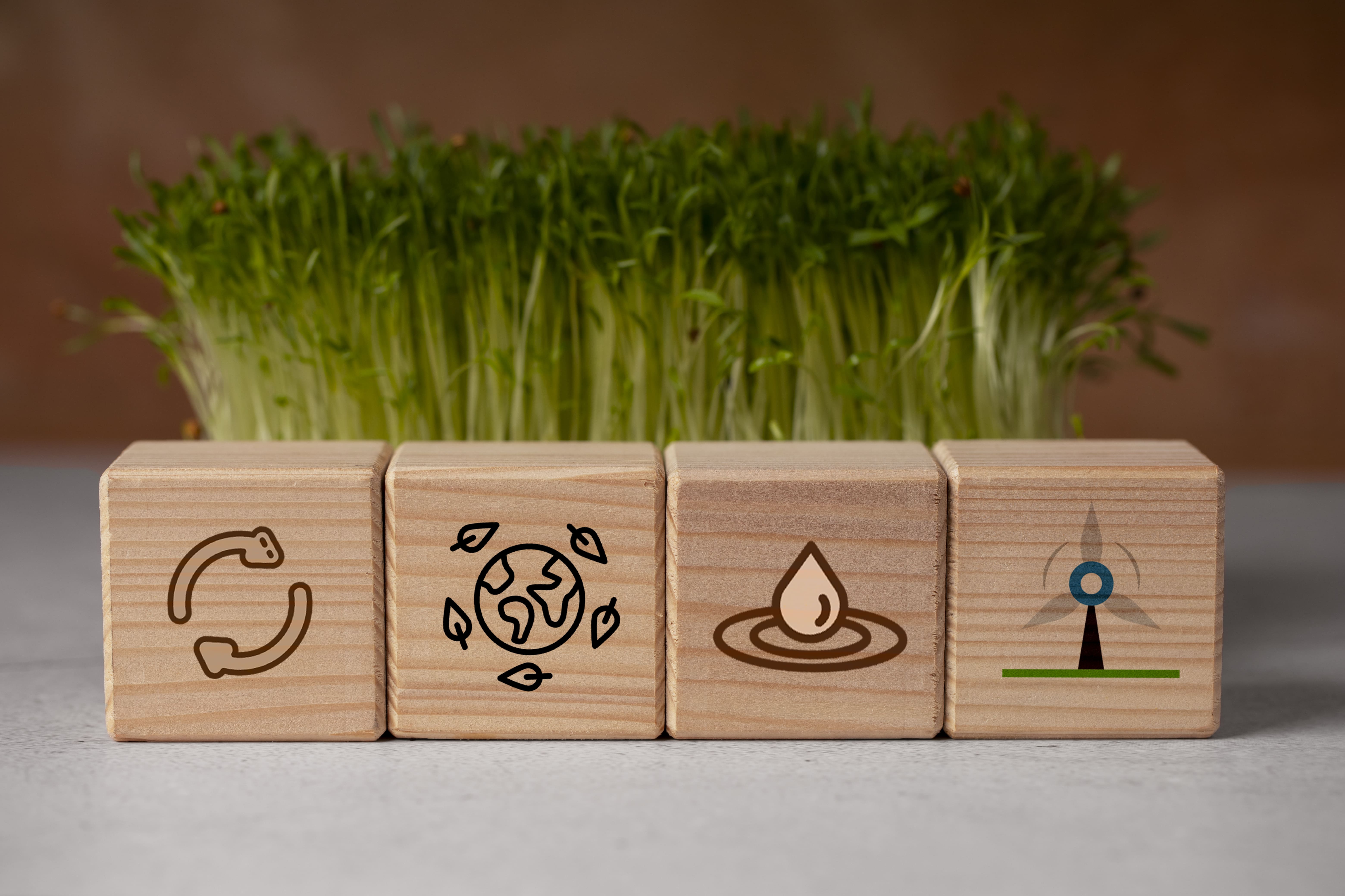 O que são as certificações de sustentabilidade?
