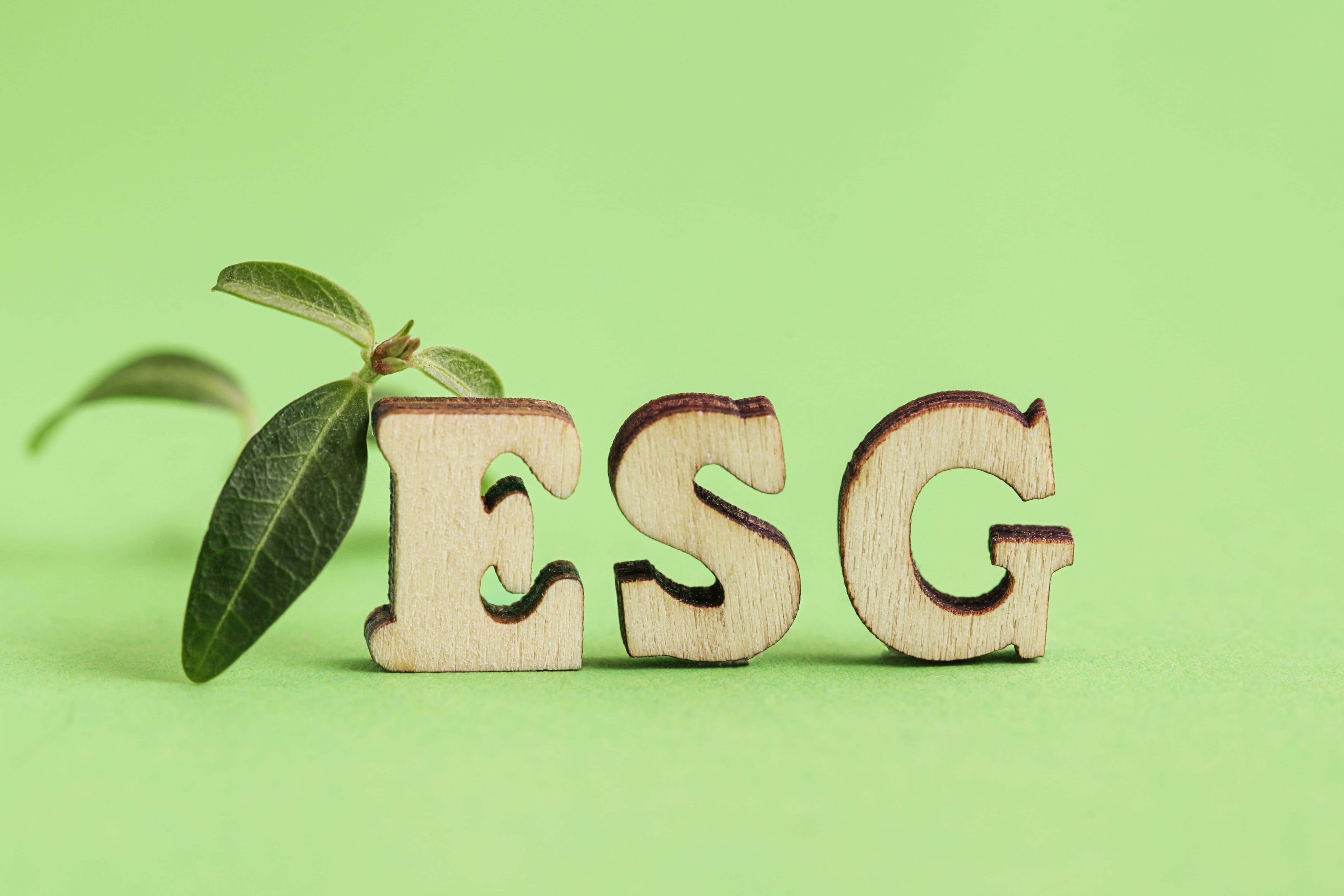 ¿Qué es la certificación ESG? Todo lo que necesitas saber en pocas palabras