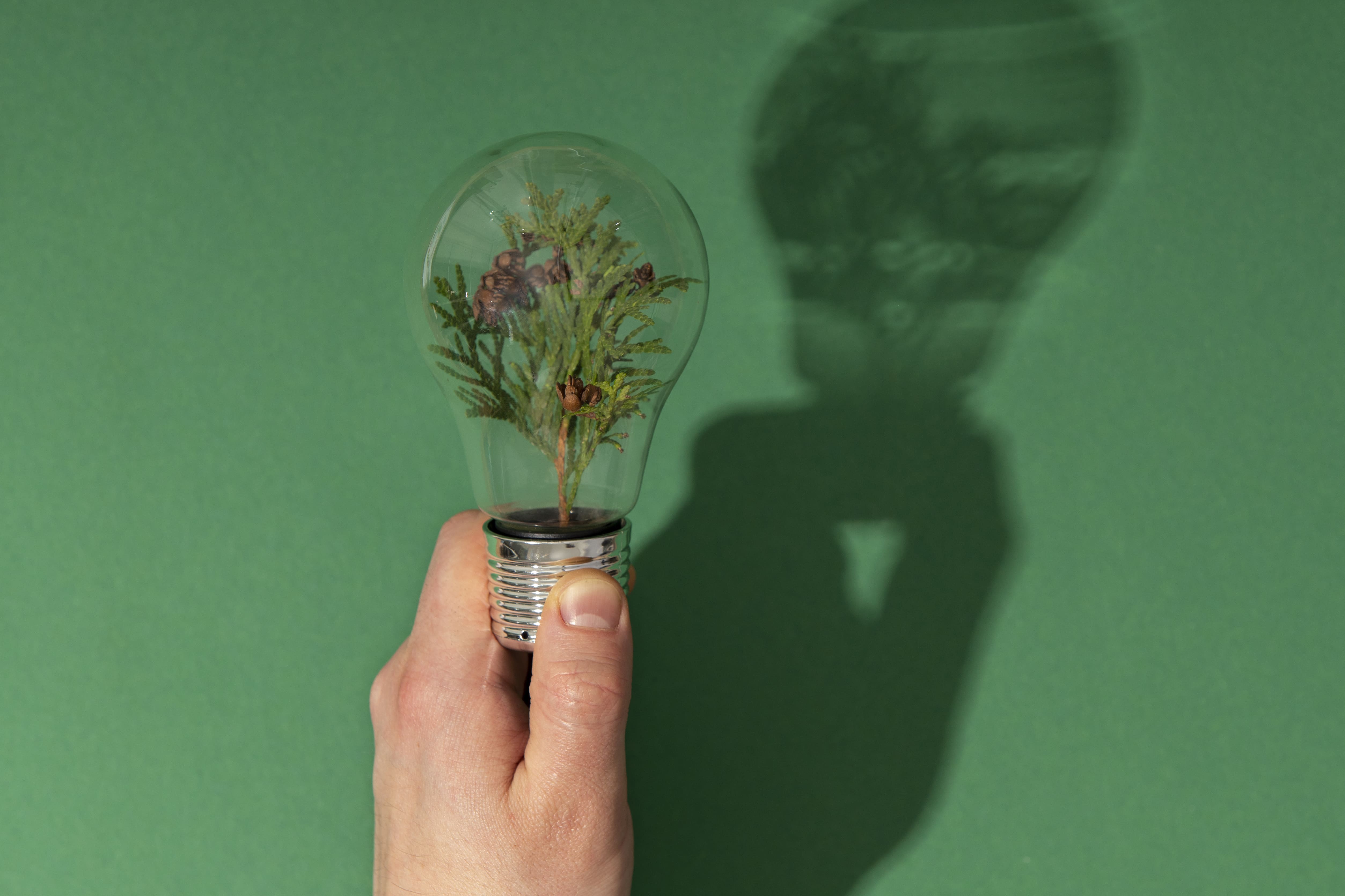 ¿Es la innovación sostenible el futuro de la I+D?